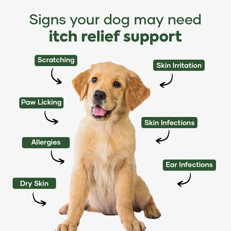PawRestore™ Skin Support Chews