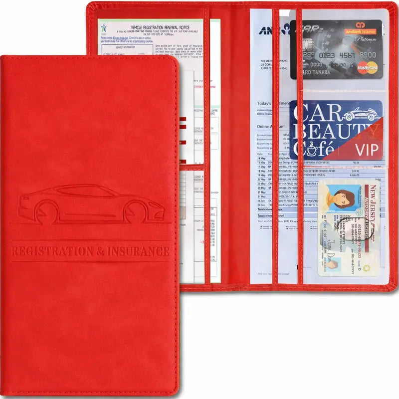 Registration and Insurance Card Holder